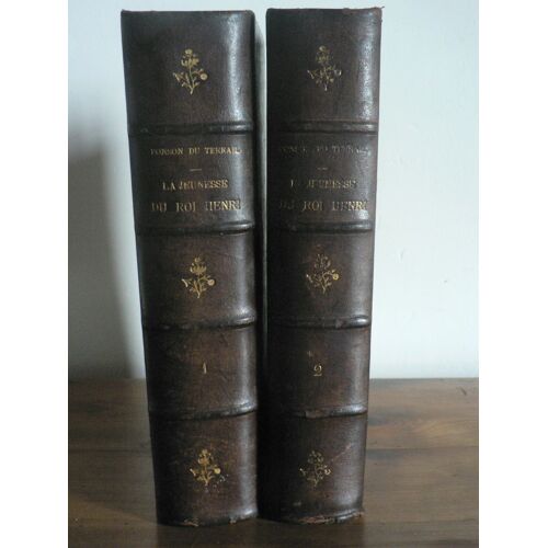 La Jeunesse Du Roi Henri, 2 Tomes