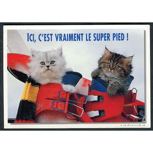 Carte Postale - Collection Feeling - " Ici, C'est Vraiment Le Super Pied ! "