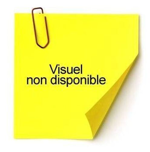 Classeur Exacompta 2 Anneaux Polypro 23x20cm Translucide Dos 40mm Coloris Assortis
