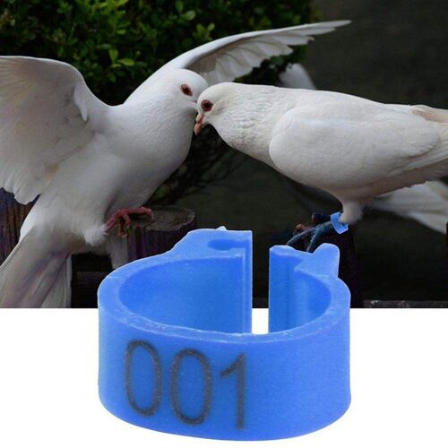 Xue Bandes À Oiseaux Numérotés De 8mm 100 Pièces Anneaux À Patte De Volaille Pour Poulets Colombes De Pigeons 001-100