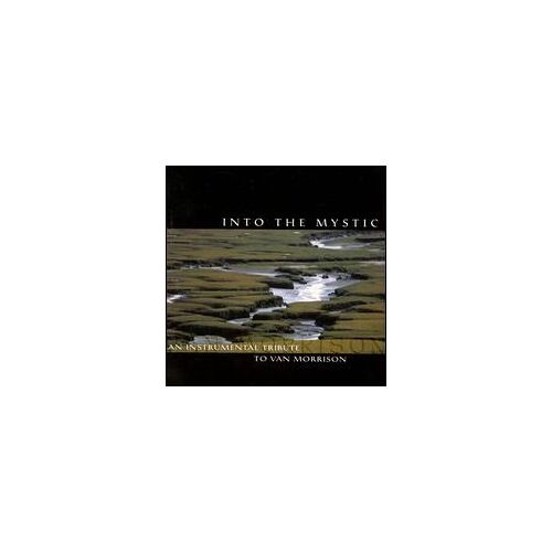 Into The Mystic:Instrumental Tribute