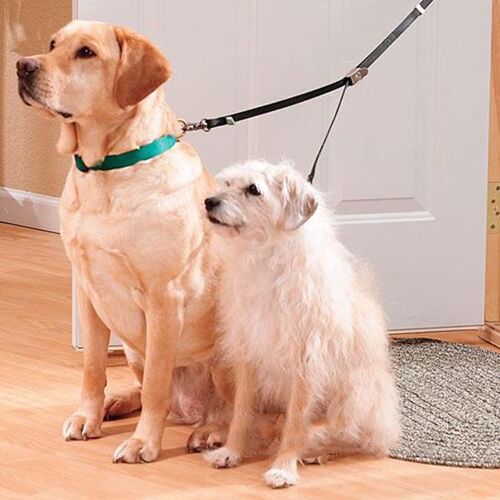 Xui Laisse De Traction Pour Chien De Compagnie 1 Pièce, Laisse De Plomb, Corde De Traction Deux Voies 1 À 2 Coupleur Extérieur J2y