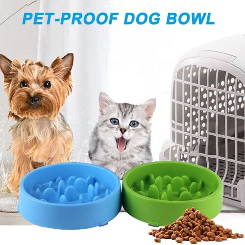 Xui Mangeoire Pour Animal Domestique Anti-Étouffement, Bol Pour Chien, Chiot Chat Lent, Alimentation De Restaurant, Alimentation Saine, Plat J2y