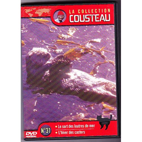 La Collection Cousteau 31 Loutres De Mer
