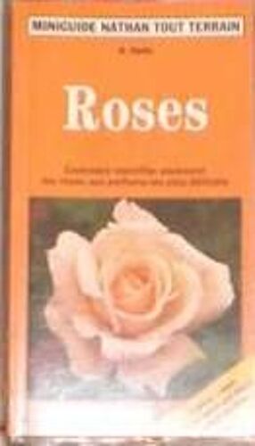 Roses - Comment Identifier Aisément Les Roses Aux Parfums Les Plus Délicats