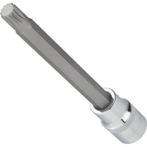 Vigor Carré femelle entraînement 12,5 = 1/2 pouce Douille mâle à denture multiple (XZN) pour profil à denture multiple (XZN) - Carré creux 12,5 mm (1/2 pouce) - Profil denture multiple intérieur XZN
