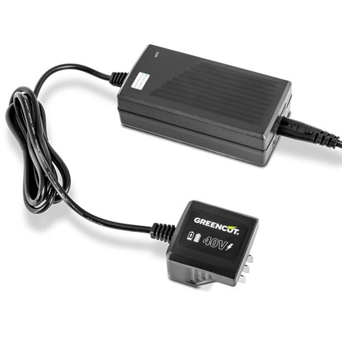 Chargeur de batterie au lithium pour outils de jardinage Systeme GREENCUT 40V