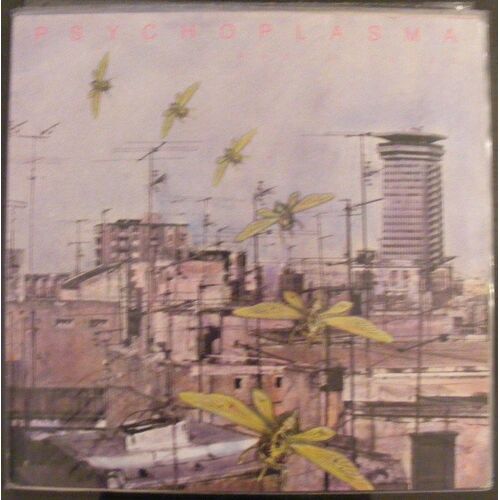 Radio Flies