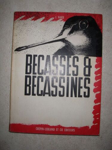 Bécasses Et Bécassines