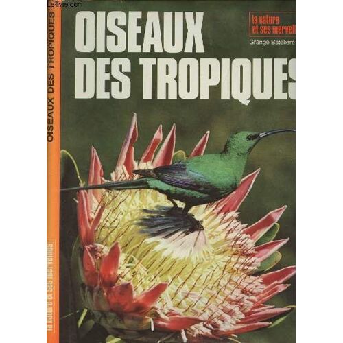 Oiseaux Des Tropiques