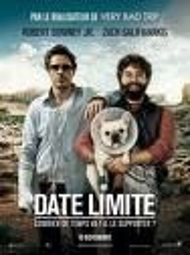 Affiche Film Date Limite
