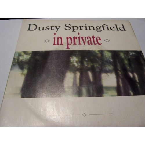 Disque Vinyle Maxi 45t In Private
