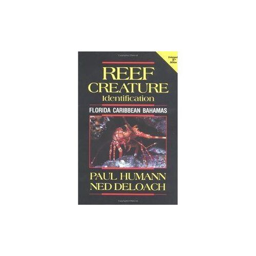 Reef Creature Identification : Florida, Caribbean, Bahamas Reef Set