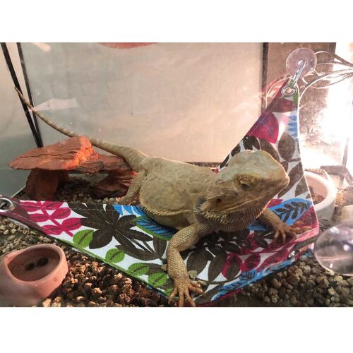 Xm Hamac Pour Animaux De Compagnie Maille Lit De Couchage Jouer Jouets Balançoire Oxford Tissu Pour Reptile Serpent Lézard Escalade Produits Avec 3 Ventouse