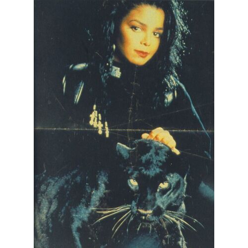 Janet Jackson Poster 28x41 (Pop Rocky)