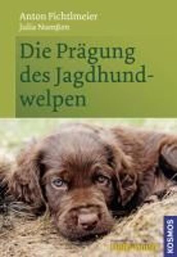 Die Prägung Des Jagdhundwelpen