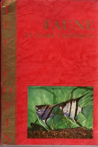 Faune Et Flore Exotiques