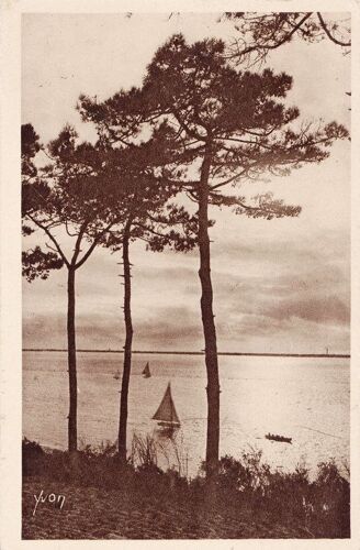 33  -  Arcachon  -  Les Abatilles -  Voiliers - Vers 1930