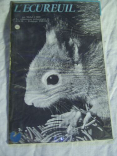 Bibliothèque De Travail Junior. L'écureuil