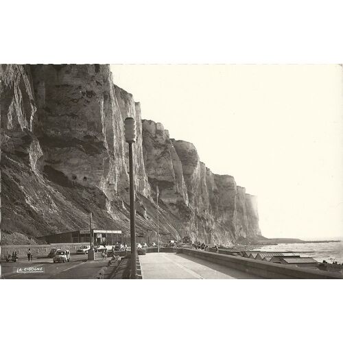 Le Tréport Les Falaises Et L'huitrière
