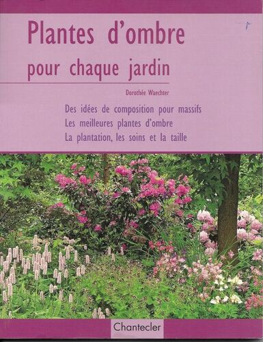 Plantes D'ombre Pour Chaque Jardin