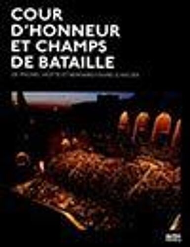 Cour D'honneur Et Champs De Bataille En Avignon