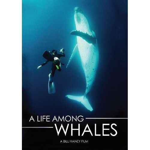 A Life Among Whales [Import Anglais] (Import)