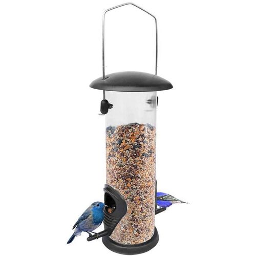 Xm Beignet Suet Graisse Boule Mangeoire Beignet Suet Graisse Boule Mangeoire Métal Transparent Boîtier Résistant Aux Intempéries Suspendus Graisse Boule Mangeoire Pour Oiseau