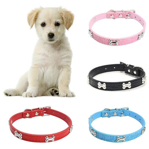 Xm Collier En Os Faux Cuir Chien Réglable Petit Animal Domestique Chiot Facile À Porter Sangle De Cou