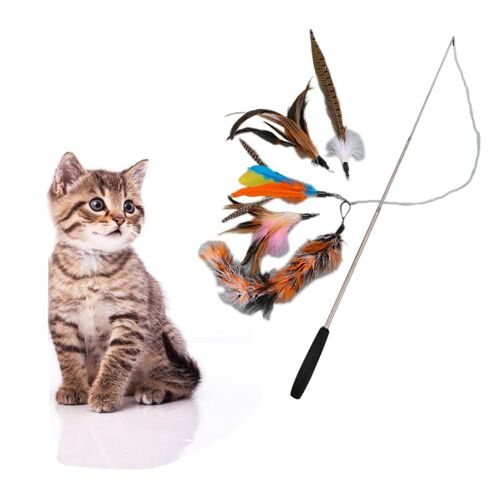 Xm Tête À Plumes Colorée 5 Pièces + 1 Pièce Baguette Rétractable Chaton Teaser Jouet Pour Animal De Compagnie