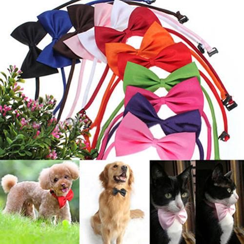 Xm Noeud Papillon Pour Animal De Compagnie Couleur Unie Mignon Réglable Pour Animal De Compagnie Collier De Chien Noeud Papillon Pour Homme Fourniture Pour Animal De Compagnie 1 Pièce