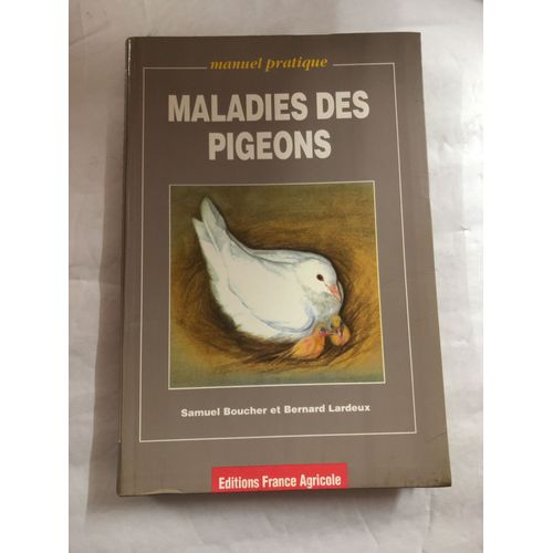 Maladie Des Pigeons