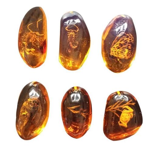 Xm 5 Pcs Ambre Fossile Avec Insectes De Mode Belle Intérieur Spécimens Échantillons Collection Décorations Pour La Collier Ambre