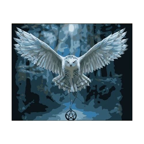 Xm Hibou Bricolage Peinture À L'huile Numérique Peinture Par Numéro Toile Chambre Décor À La Maison Pas De Cadre