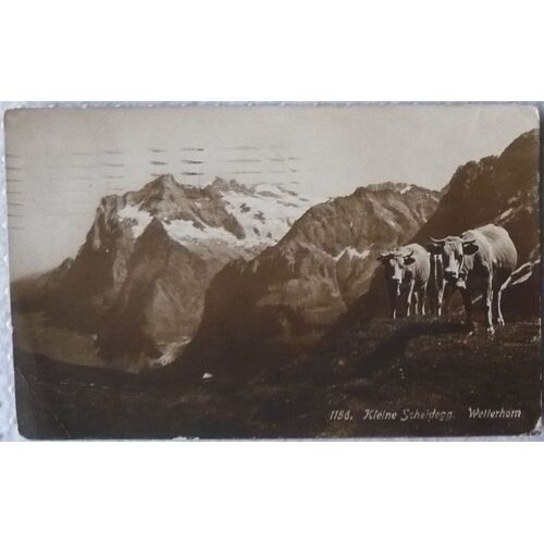 Carte Postale Ancienne - 1156 - Kleine Scheidegg - Wetterhorn