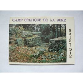 Camp Celtique De La Bure, Saint-Dié