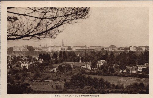 Carte Postale De Pau (Pyrénées Atlantiques) Vue Panoramique (Réf.687)