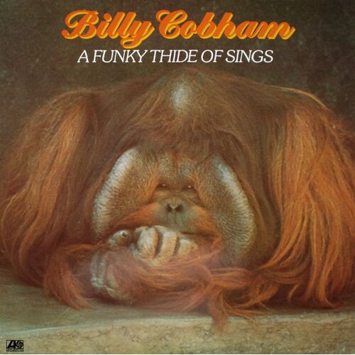 A Funky Thide Of Sings