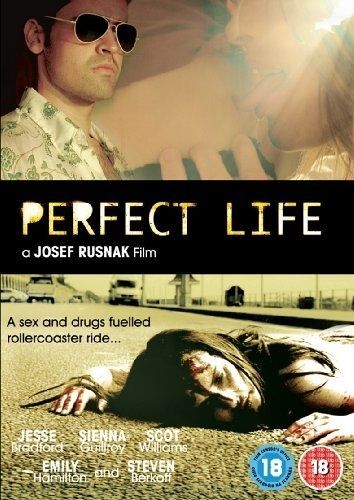 Perfect Life [Import Anglais] (Import)