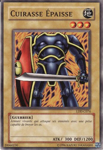 Cuirasse Epaisse Ldd-C074