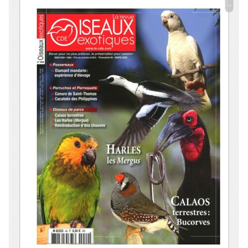 La Revue Des Oiseaux Exotiques N 49