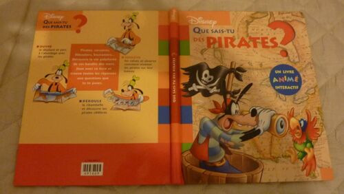 Que Sais Tu Des Pirates?