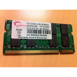 G.Skill DDR2 Series F2-5300CL5S-2GBSQ - DDR2 - 2 Go - SO DIMM 200 broches - 667 MHz / PC2-5300 - CL5 - 1.8 V - mémoire sans tampon - non ECC