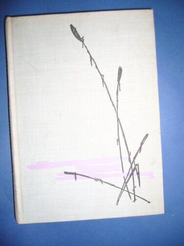 Le Grand Meaulnes (Illustrations De Sainte-Croix)