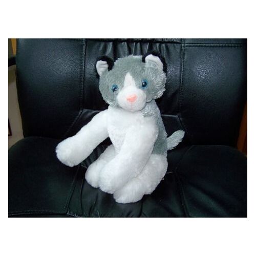 Peeko Chat Blanc Et Gris