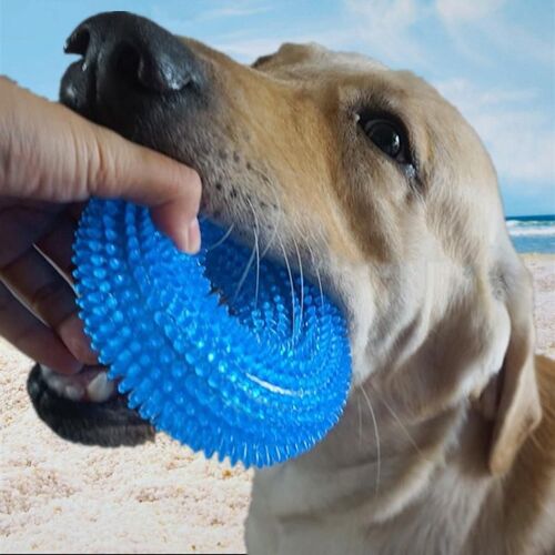 Xm Golden Retriever-Jouet De Chien Interactif Amusant Mâcher Des Épines Cercle D'épines Petit Chien Animal De Compagnie Hummer