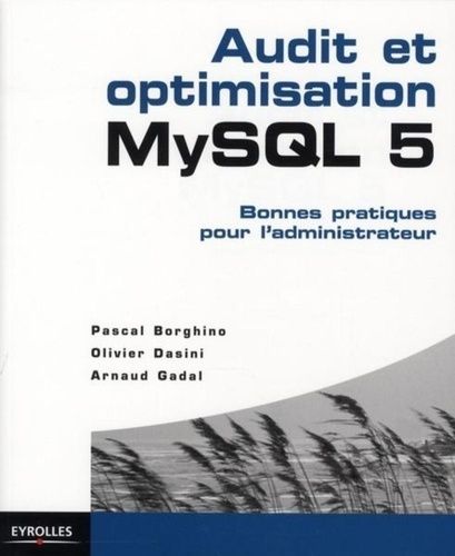 Audit Et Optimisation Mysql 5 - Bonnes Pratiques Pour L'administrateur