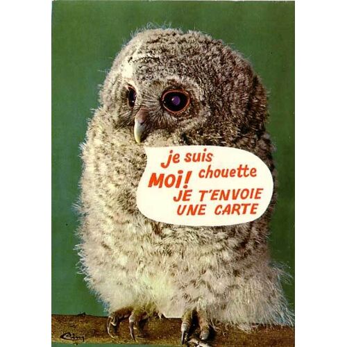 Cpsm - Animaux Humouristiques - Une Chouette