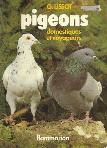 Pigeons Domestiques Et Voyageurs
