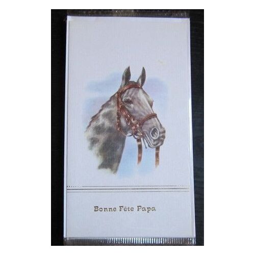 Carte Postale : Bonne Fête Papa (Avec Enveloppe)